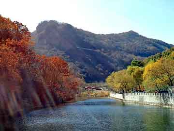 新澳天天开奖资料大全旅游团，金山网站建设